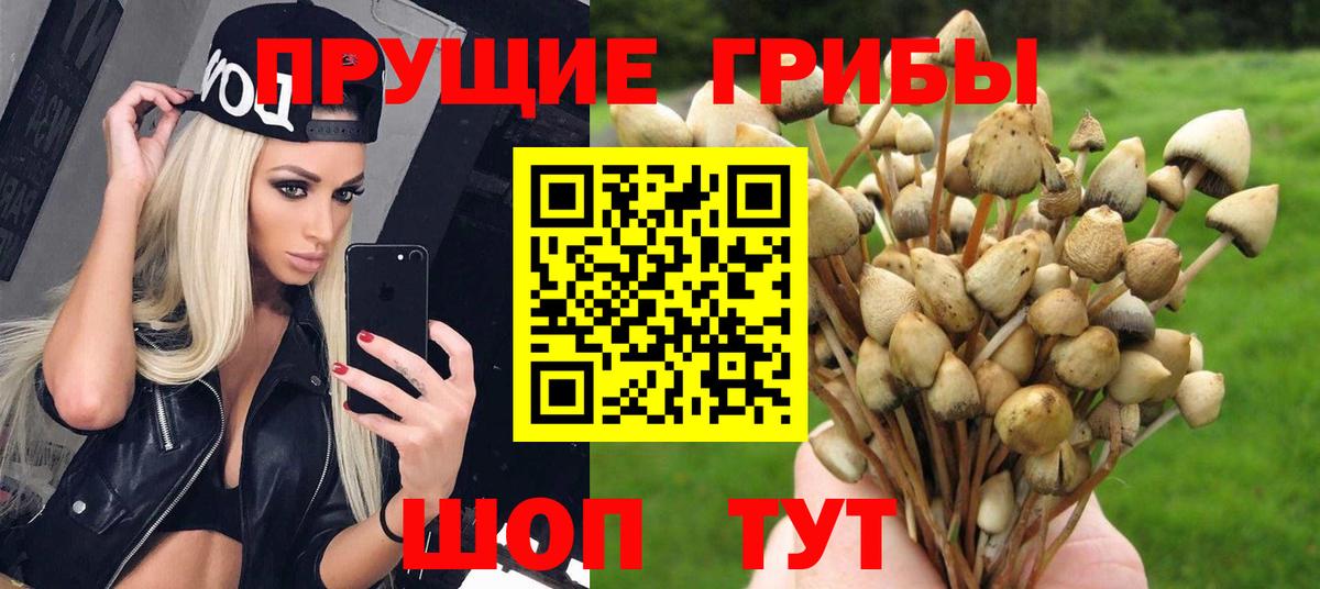 Галлюциногенные грибы GOLDEN TEACHER  Псилоцибиновые грибы прущие грибы  Вход с VPN  Ивантеевка 